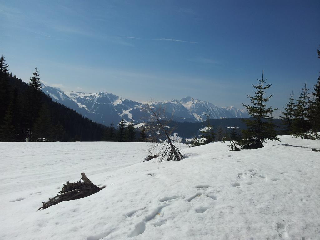 Appartement Hubertus Flachau Habitación foto